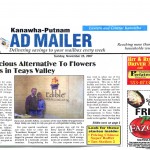 Ad Mailer story