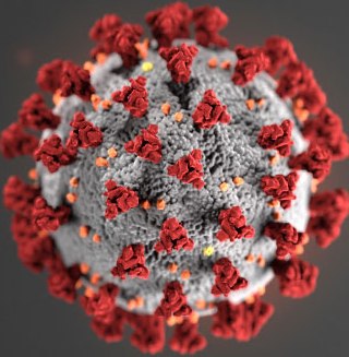 covid 19 virus image